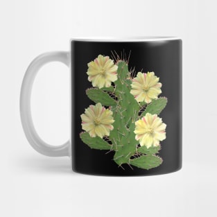 Cactus - cactus flower - flower - flora in Africa Mug